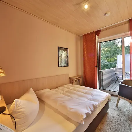 Landidyll Wilminks Parkhotel 3*