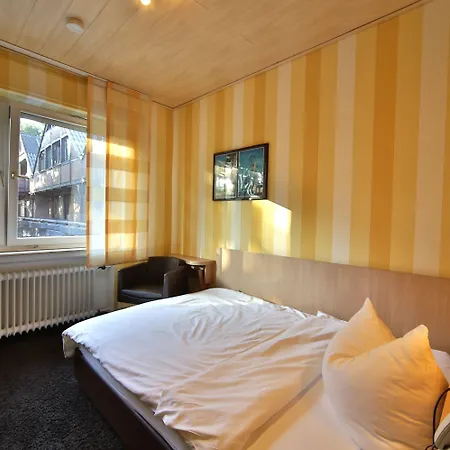 Landidyll Wilminks Parkhotel Hotel 3*