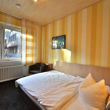 Landidyll Wilminks Parkhotel