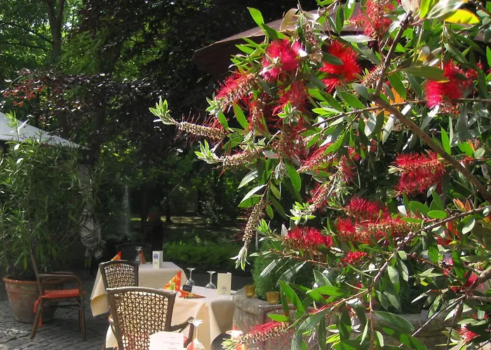 Landidyll Wilminks Parkhotel 诺伊基兴