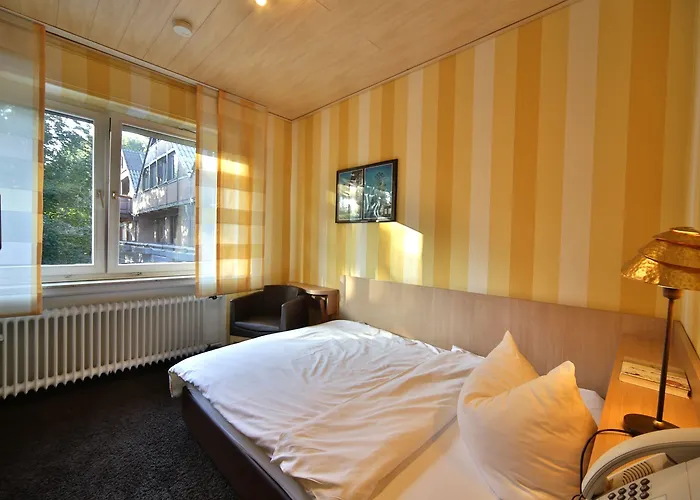 Landidyll Wilminks Parkhotel 酒店 3*