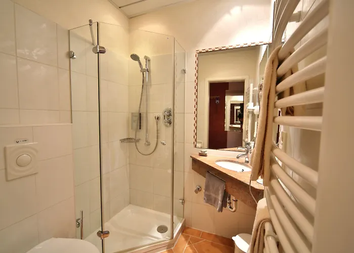 酒店 Landidyll Wilminks Parkhotel 诺伊基兴