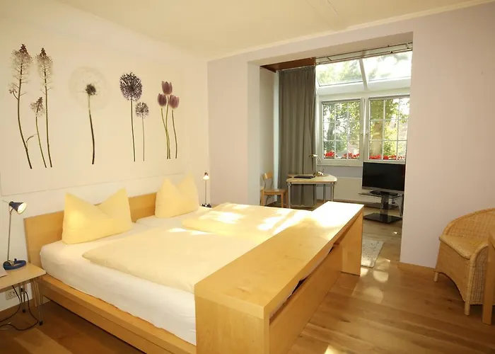 Landidyll Wilminks Parkhotel 酒店