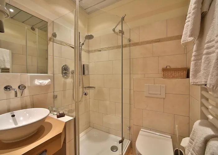 Landidyll Wilminks Parkhotel 酒店 3*